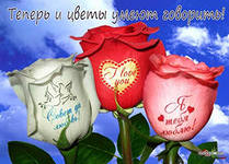 Рисунки на цветах