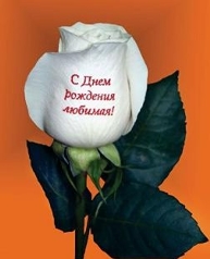 Нанесение рисунков и надписей на цветы